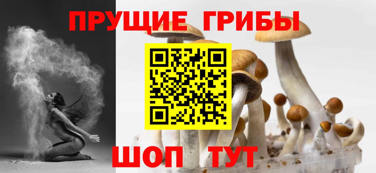 Галлюциногенные грибы прущие грибы Кудрово